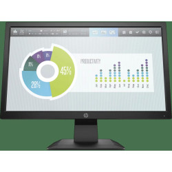 HP P204v - 19.5 HD+ (1600 x 900)