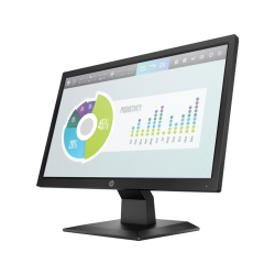 HP P204v 19.5-inch Monitor