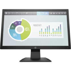 HP P204v 19.5-inch Monitor