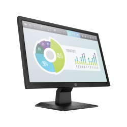 HP P204v 19.5-inch Monitor