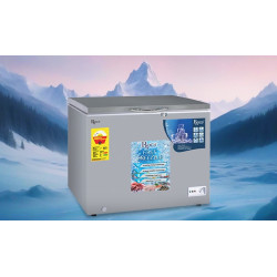 Roch Freezer 250G