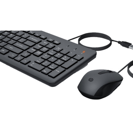 HP WIRED KEYBOARD WITH MOUSE
