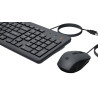 HP WIRED KEYBOARD WITH MOUSE