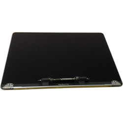 Screen for MacBook A1708 Grey Assembly