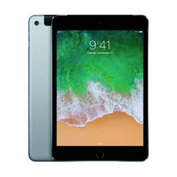 iPad mini 7 128GB cellular
