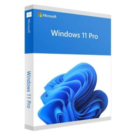 Microsoft Windows 11 Pro License Key